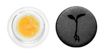 RAW GARDEN: Black Garlic Live Badder 1g (I)