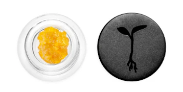 RAW GARDEN WAX: Catalina Special 1g Live Resin (H)