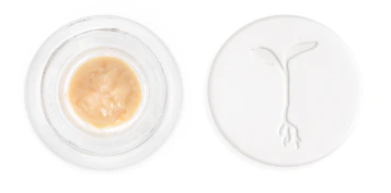 Raw Garden -  RAW GARDEN WAX: Garlic Juice 1g Solventless Live Rosin (I) Main Image