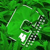 C4 - BLUE DEAM 0.5G PRE-ROLL