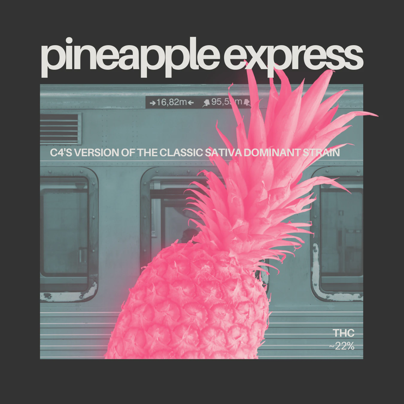 C4 - C4 - PINEAPPLE EXPRESS 3.5 GRAMS Main Image