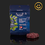 WYLD ONES | Sour Blueberry Gummy 1:1 THC+CBN | single