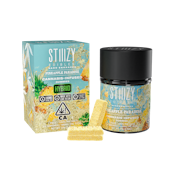 Pineapple Paradise - 10ct - 100mg