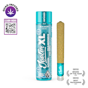 Jeeter - Blue Dream XL Infused Preroll 2g