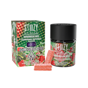 Watermelon Wave - 10ct - 100mg