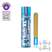Jeeter - Blueberry Kush XL Infused Preroll 2g