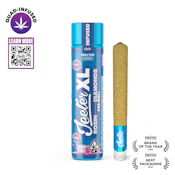Jeeter - High Tide XL Infused Preroll 2g
