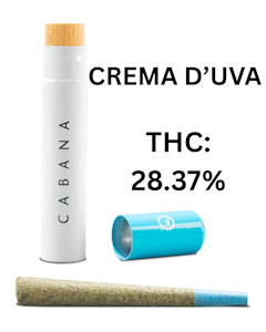 CABANA - Cabana | Preroll 1pk/1g [I] | Crema D'Uva