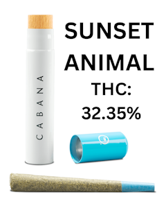 CABANA - Cabana | Preroll 1pk/1g [I] | Sunset Animal