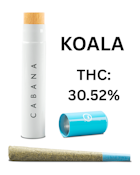 Cabana | Preroll 1pk/1g [H] | Koala