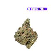 RG $29 Cactus Cooler (S)(H) 1/8th (INDOOR)