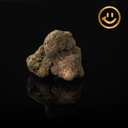 Grown Rogue | Blue Velvet | indoor flower