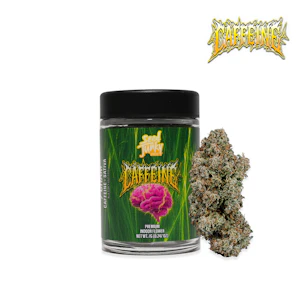Seed Junky - SEED JUNKY - 7G Caffeine - (S) Main Image