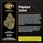 CAM | Papaya Juice  | 14G Sativa 