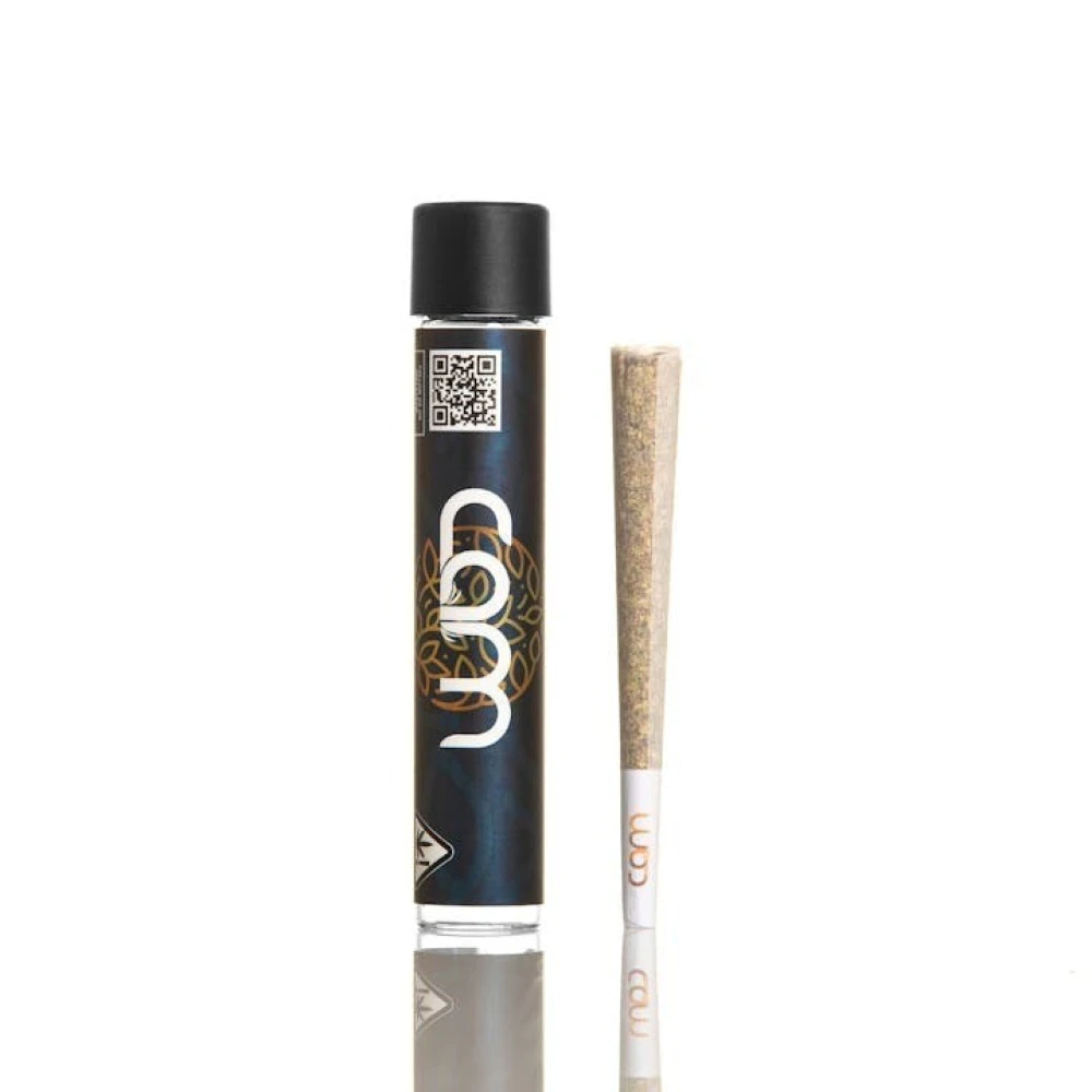 CAM - CAM Ambrosia (I) Preroll 1g Main Image
