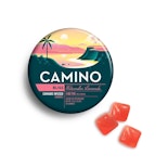 Camino - Watermelon Lemonade (Bliss) - 100mg - Edible