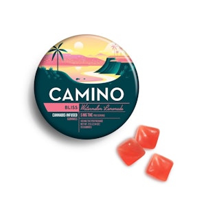 Camino - Camino - Watermelon Lemonade - 100mg - Edible