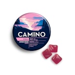 Camino - Wild Berry (Chill) - 100mg - Edible