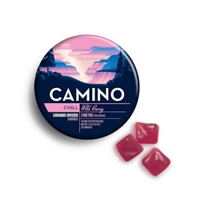 Camino - Camino - Wild Berry - 100mg - Edible