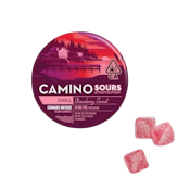 CAMINO - Strawberry Sunset Sours 10ct 100mg