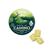 CAMINO - Sparkling Pear Gummies 20ct. 1:3 THC/CBD