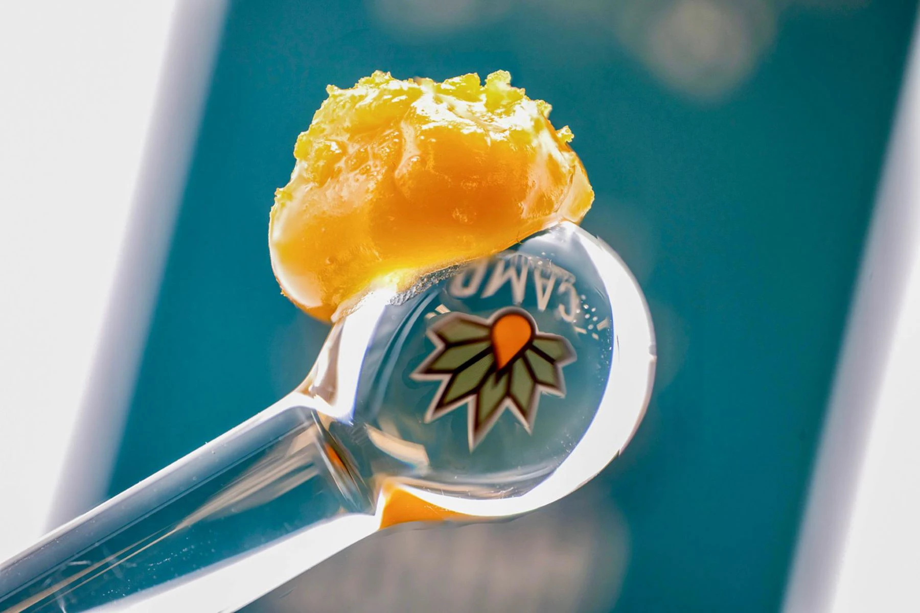 CAMP - CAMP - TRIANGLE KUSH BUDDER 1 GRAM Main Image