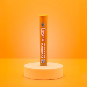 CAMP - CAMP - CHEM KESEY 1 GRAM PRE-ROLL