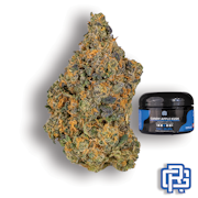 Candy Apple Kush Flower | Quarter Special
