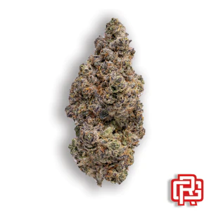 ROSEBUD GROWERS - Candyland Flower