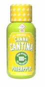 PINEAPPLE THC WATER - CANNA CANTINA - 100mg