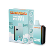 Cannabals - Rainbow Sherbet - Chubby Puff 6g AIO