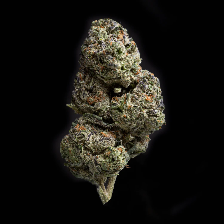 Xotic Flavorz - XOTIC FLAVORZ | CARTEL CUT | FLOWER | 3.5G Main Image