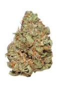 CAT PISS 1/2oz