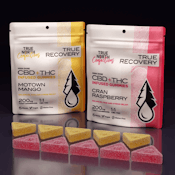 True North - Cran Raspberry 1:1 THC:CBD Gummies - 100mg