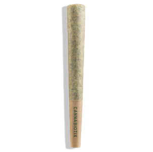 CANNABIOTIX - Grand Master .75g Pre-Roll - CBX