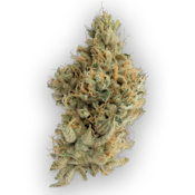 Zenergy 3.5g Jar - CBX