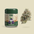 Cannabiotix - 3.5g - Grape Gasby