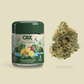 Cannabiotix - 3.5g - Tropical Lemonade