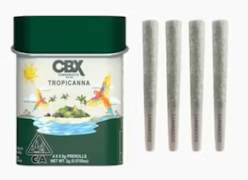 Cannabiotix 4pk Prerolls 2g Tropicanna
