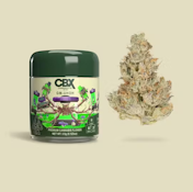 CBX - Flower - GM-UhOh - 3.5G