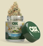 CANNABIOTIX: Tropicanna 3.5g (S)