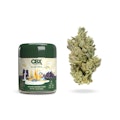 CBX: GLUETOPIA 3.5G