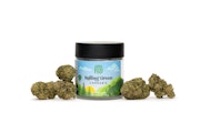 Rolling Green Cannabis - Gelato Sorbet - 3.5g - Flower