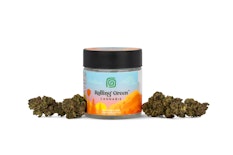 Rolling Green Cannabis - Sherb Cream - 3.5g - Flower