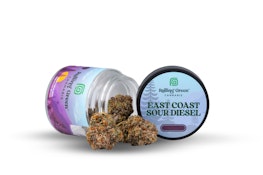 Rolling Green | East Coast Sour Diesel | 3.5g