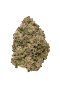 Rolling Green - Rolling Green | Flower - Biscotti 41 | 3.5g