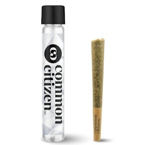 Common Citizen - Banana Daddy - 1G Infused