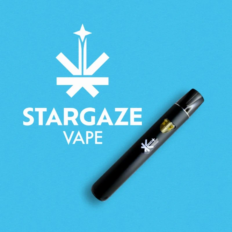 Stargaze Vapes - SG Disposable | Purple Diesel | 1g Main Image