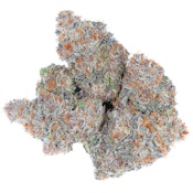 Connected - Gelonade Flower - 14G (Smalls)