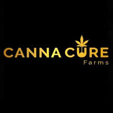 CANNA-CURE - Canna Cure - Carmel Apple - 1g Infused Preroll Main Image